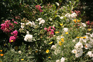 garten17